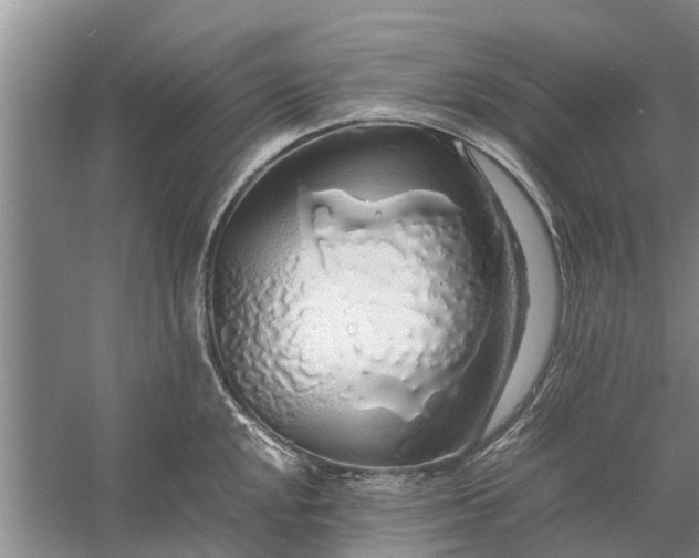 X0000058131048200510072000