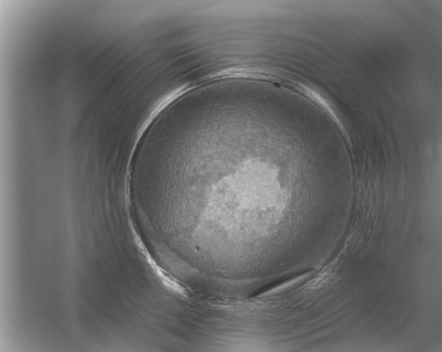 X0000058131050200510072000