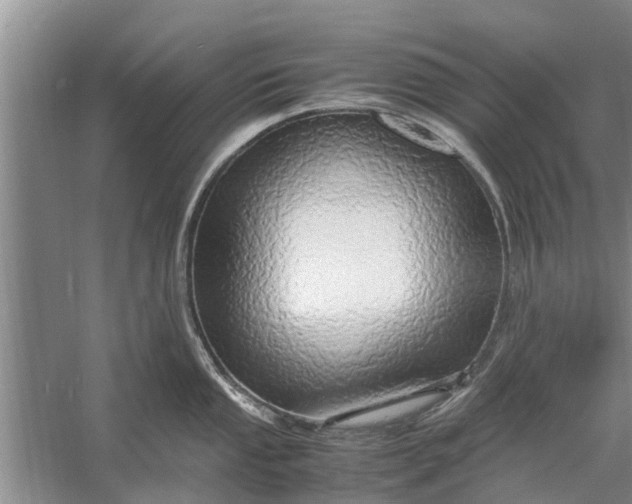 X0000058131053200510072000