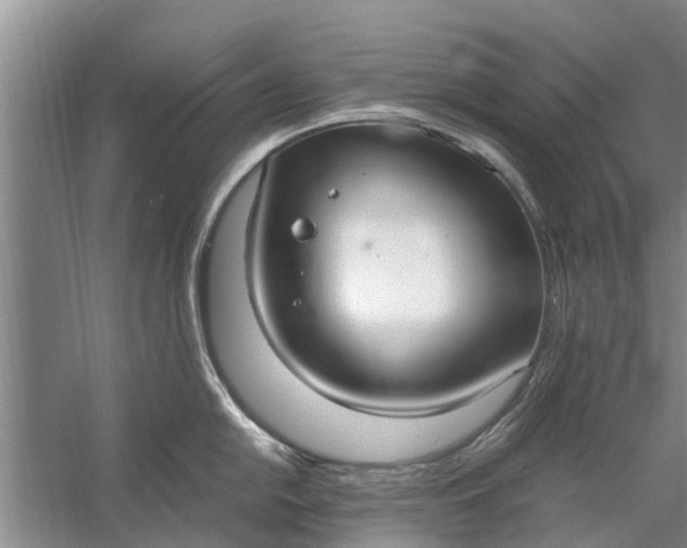 X0000058131054200510072000