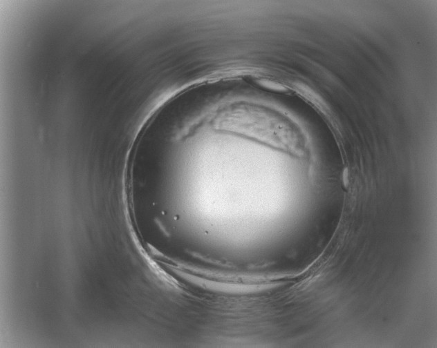 X0000058131055200510072000