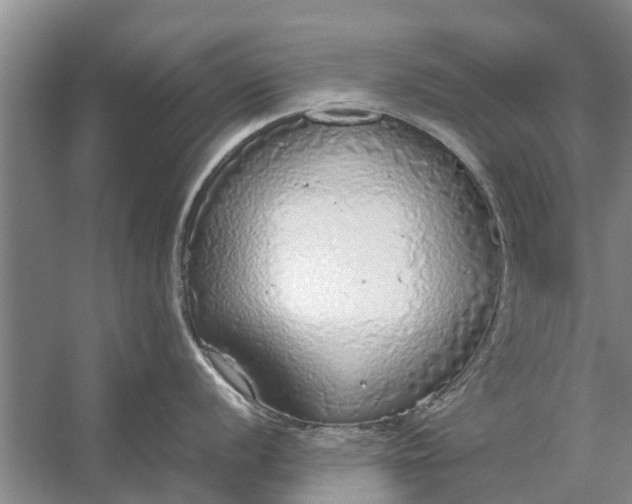 X0000058131056200510072000