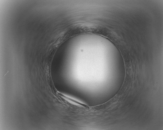 X0000058131061200510071959