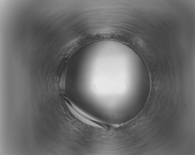 X0000058131062200510071959