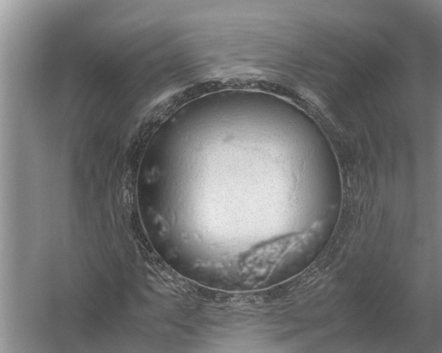 X0000058131063200510071959