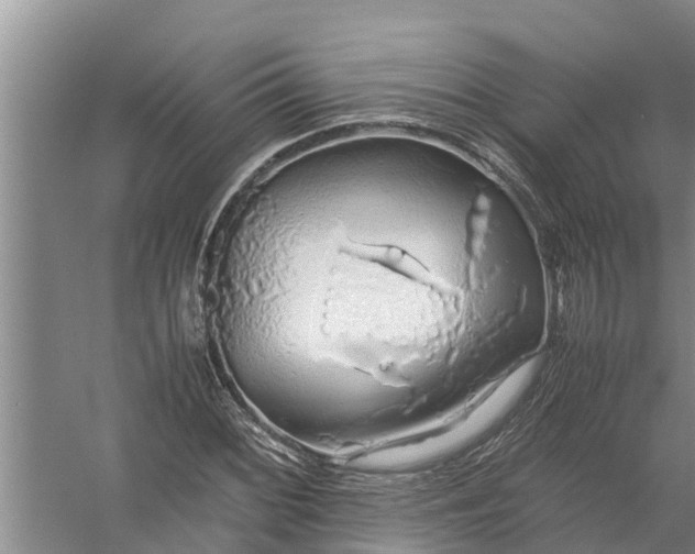 X0000058131068200510071959