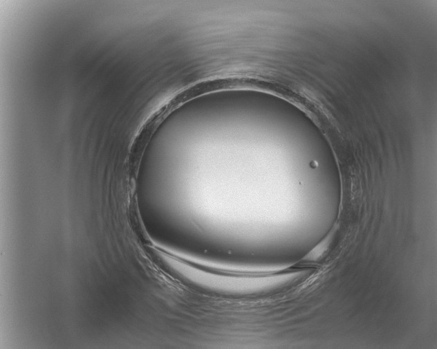 X0000058131069200510071959