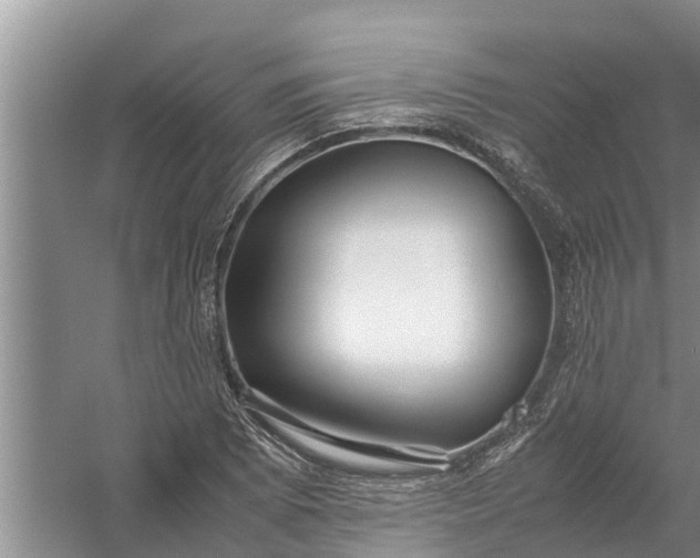 X0000058131073200510071959