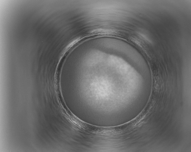 X0000058131074200510071959