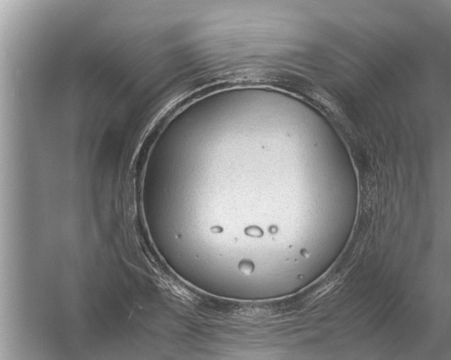 X0000058131075200510071959