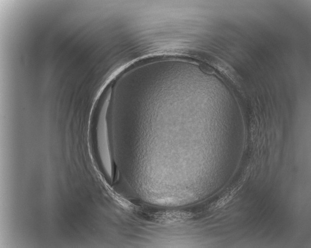 X0000058131077200510071959