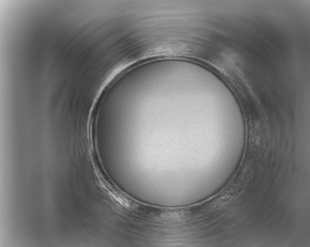 X0000058131078200510071959