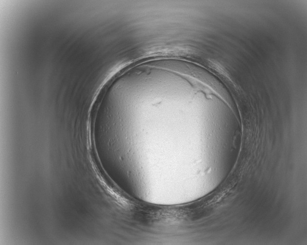 X0000058131079200510071959