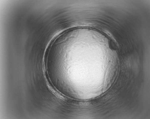 X0000058131080200510071959