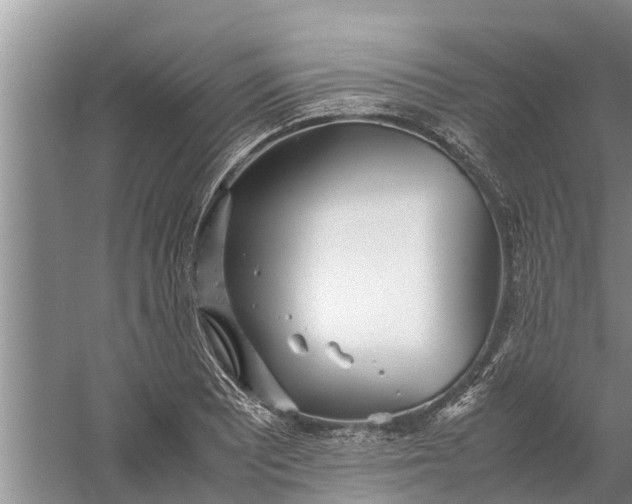 X0000058131081200510071959