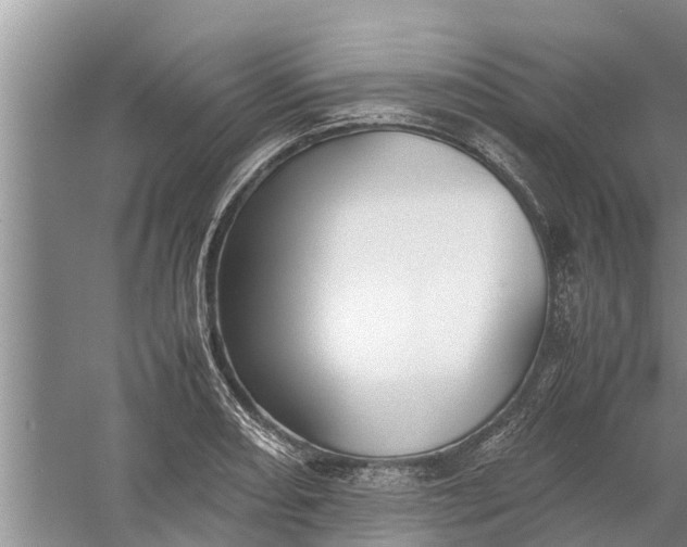 X0000058131082200510071959