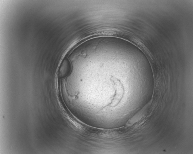 X0000058131083200510071959