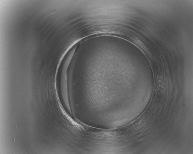 X0000058131084200510071959