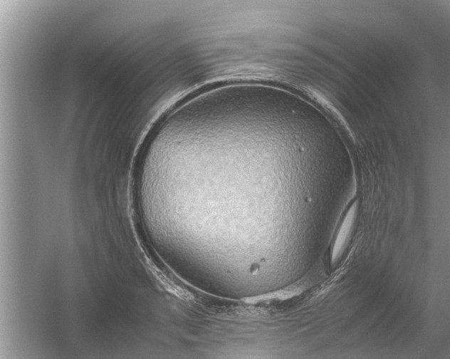 X0000058131085200510071959