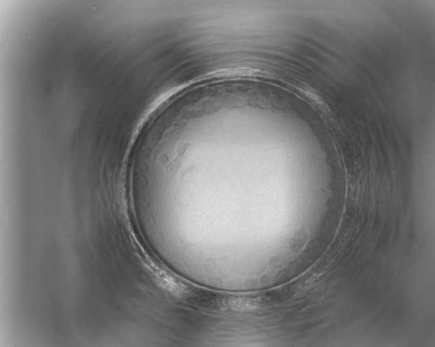 X0000058131086200510071959