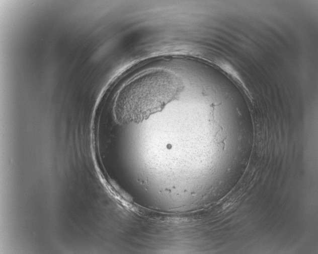 X0000058131088200510071959