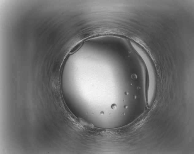 X0000058131089200510071959