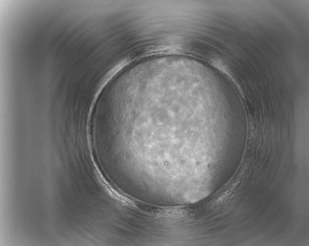 X0000058131090200510071959