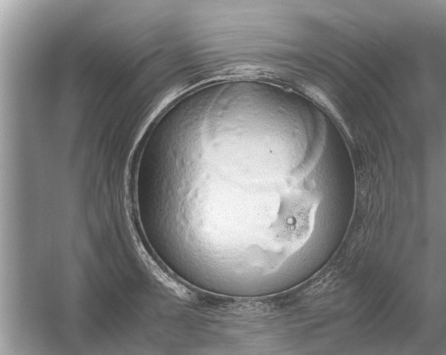 X0000058131091200510071959