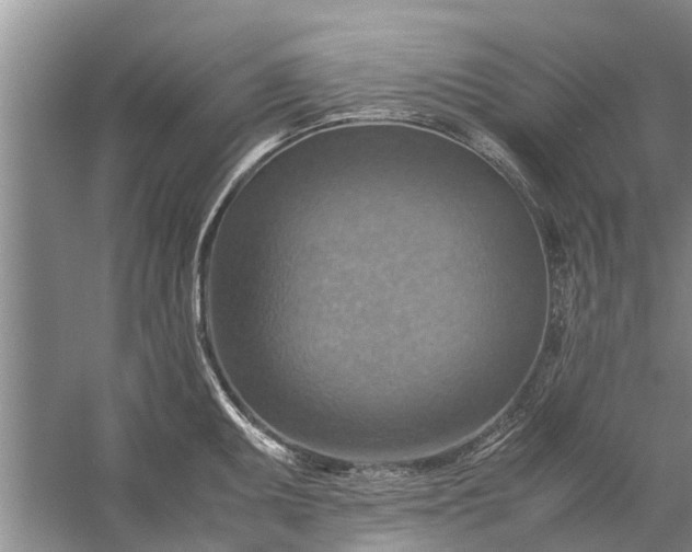 X0000058131095200510071959