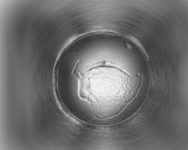 X0000058131096200510071959