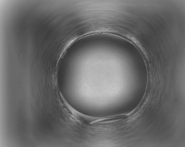 X0000058131097200510071959