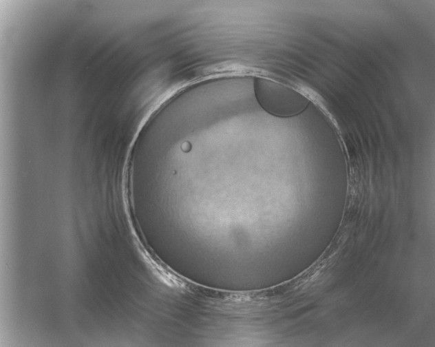 X0000058131098200510071959