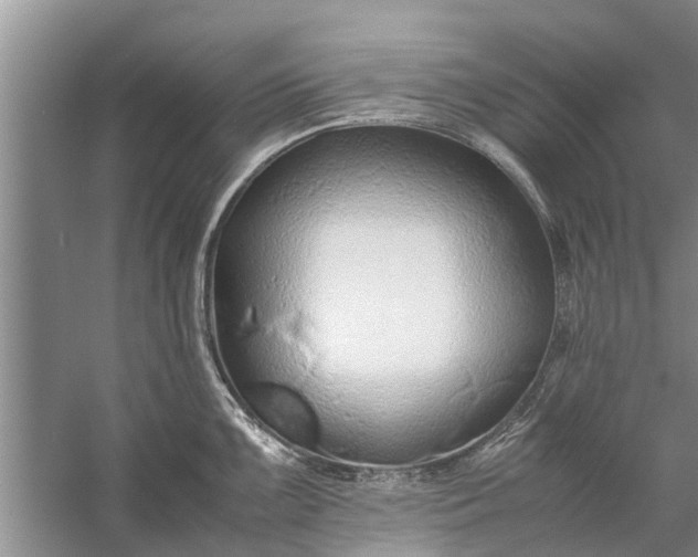 X0000058131099200510071959