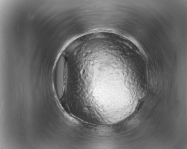 X0000058131102200510071959