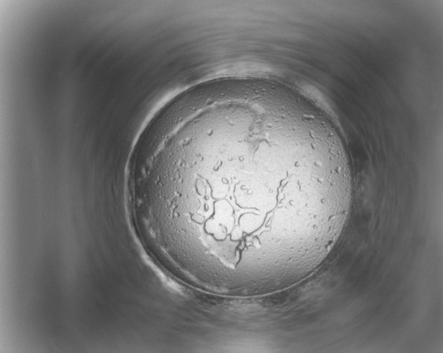 X0000058131103200510071959