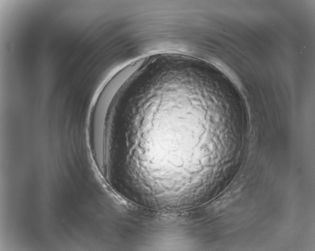 X0000058131104200510071959