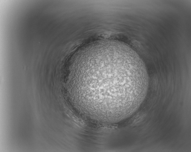 X0000058131105200510071958