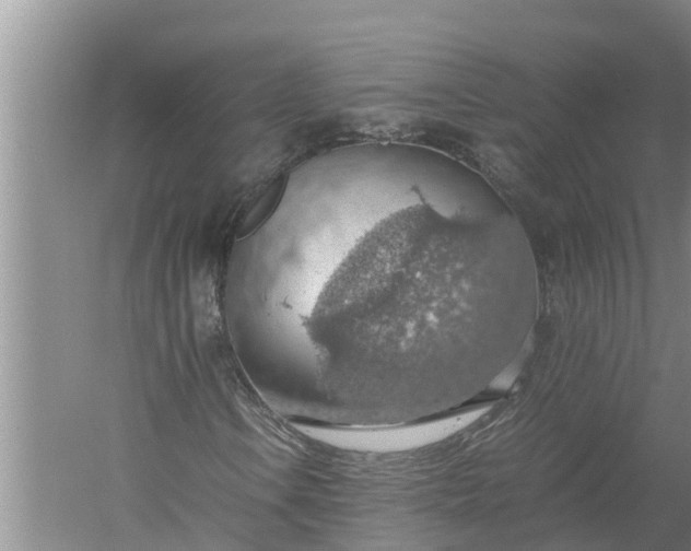 X0000058131106200510071958