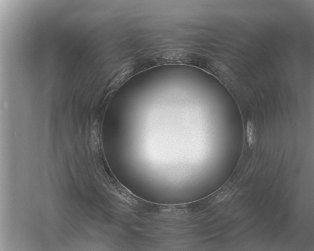 X0000058131107200510071958