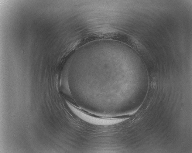 X0000058131108200510071958