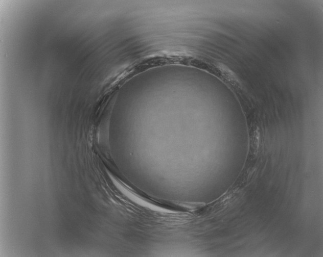 X0000058131110200510071958