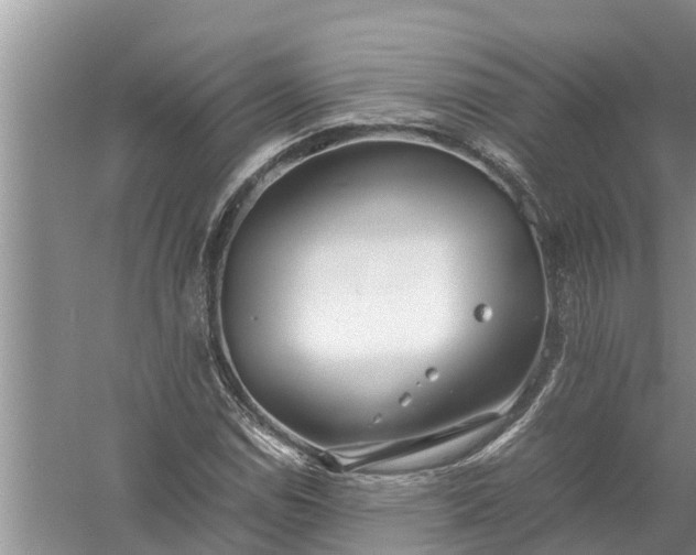 X0000058131114200510071958