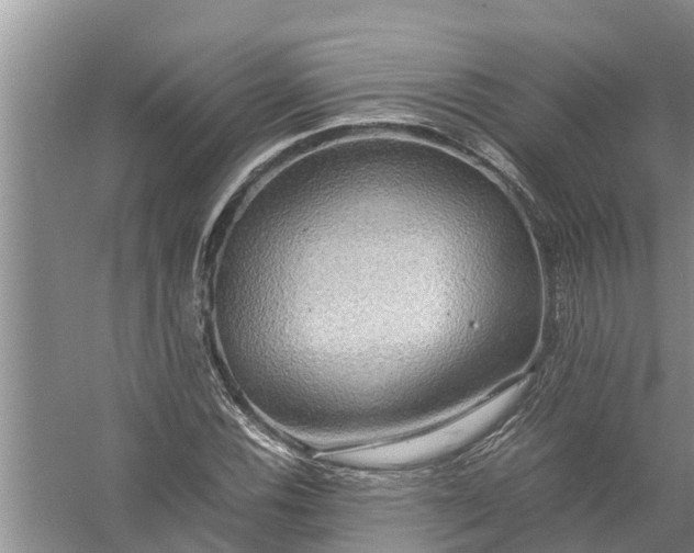 X0000058131116200510071958