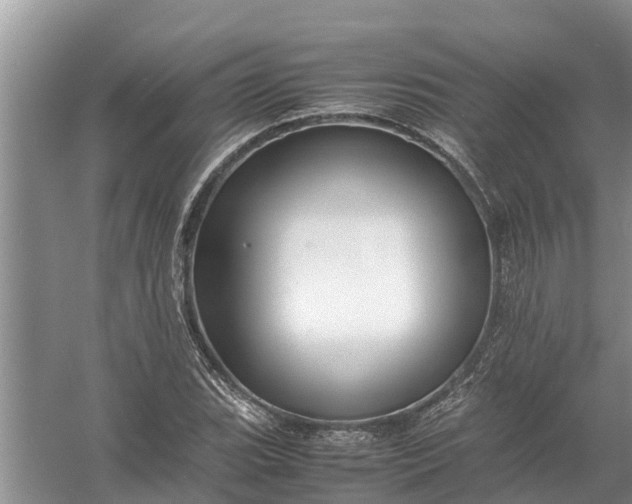 X0000058131119200510071958