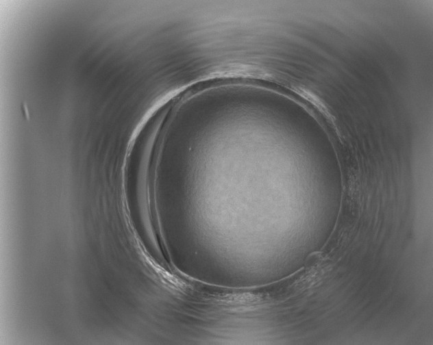 X0000058131120200510071958