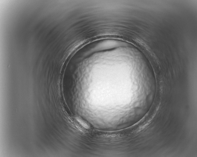 X0000058131121200510071958