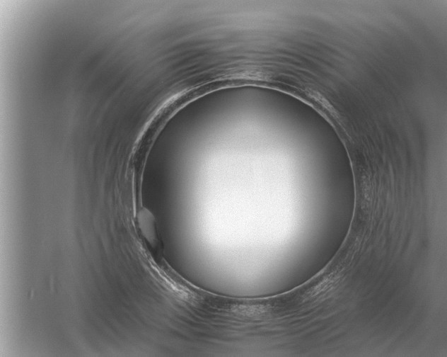 X0000058131123200510071958