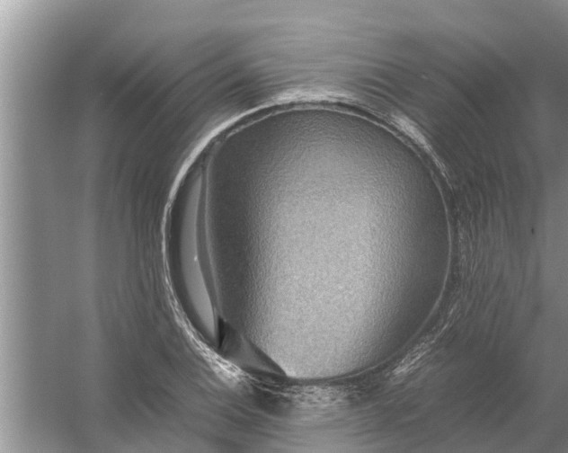 X0000058131124200510071958