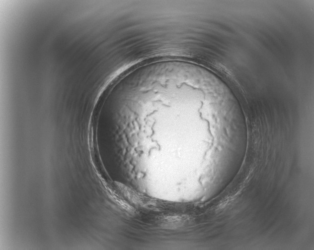 X0000058131125200510071958