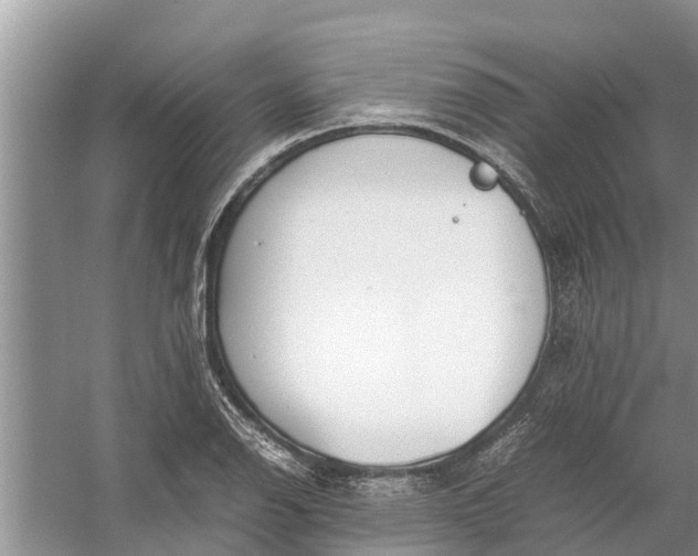 X0000058131126200510071958